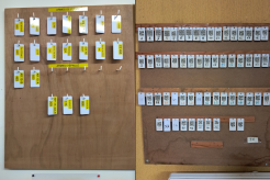 Les badges emprunts et consommables